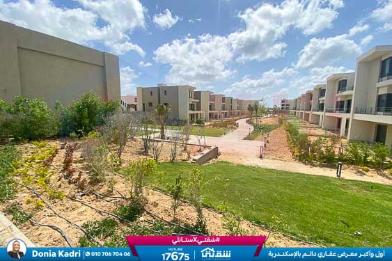 WhatsApp Image 2025-02-13 at 2.50.23 PM