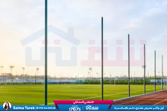 WhatsApp Image 2025-03-22 at 12.53.34 PM (1)