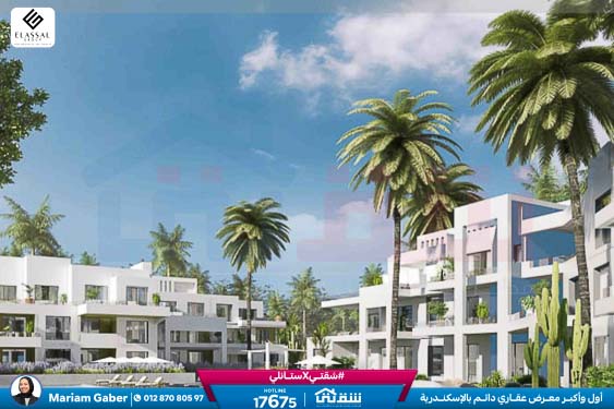 WhatsApp Image 2025-05-03 at 5.08.08 PM (2)