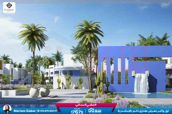 WhatsApp Image 2025-05-03 at 5.08.08 PM (3)