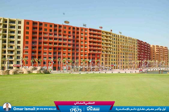 WhatsApp Image 2025-05-06 at 12.31.21 PM