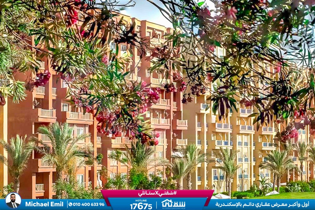 WhatsApp Image 2025-05-06 at 12.31.23 PM (1)