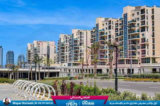 WhatsApp Image 2025-05-29 at 5.06.39 PM (1)