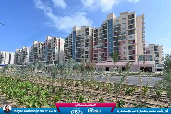 WhatsApp Image 2025-05-29 at 5.06.40 PM (1)