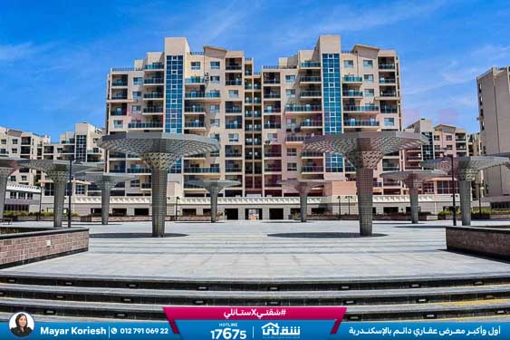 WhatsApp Image 2025-05-29 at 5.06.40 PM