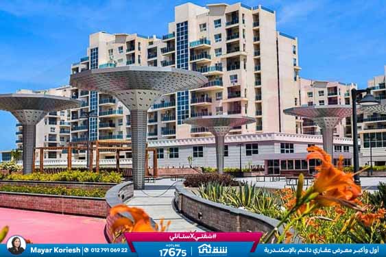 WhatsApp Image 2025-05-29 at 5.06.41 PM (1)