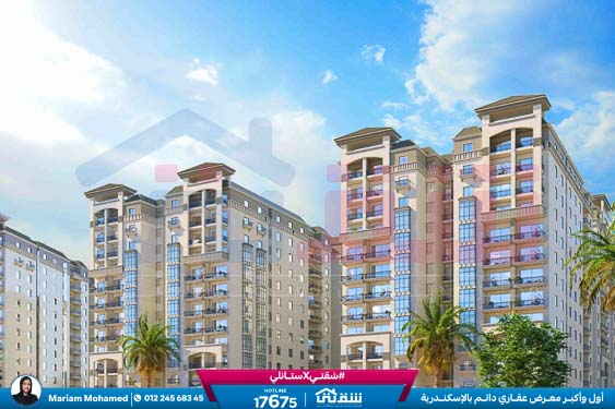 WhatsApp Image 2025-07-23 at 1.53.08 PM (3)