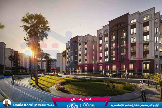 WhatsApp Image 2025-07-30 at 1.26.37 PM (1)