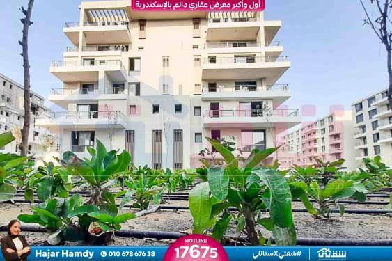 WhatsApp Image 2025-08-16 at 5.14.52 PM