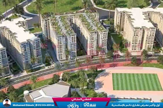 WhatsApp Image 2025-08-17 at 3.05.42 PM (1)