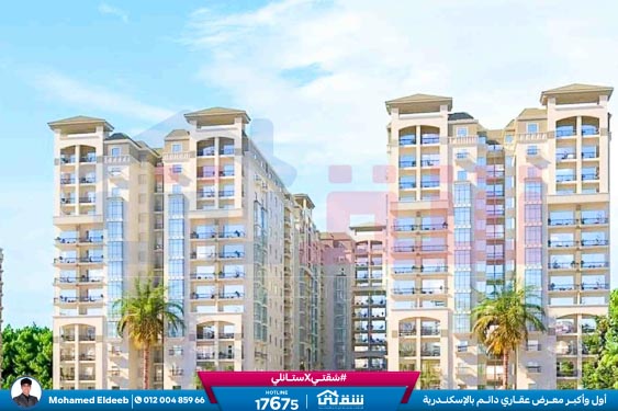 WhatsApp Image 2025-08-17 at 3.05.44 PM (1)