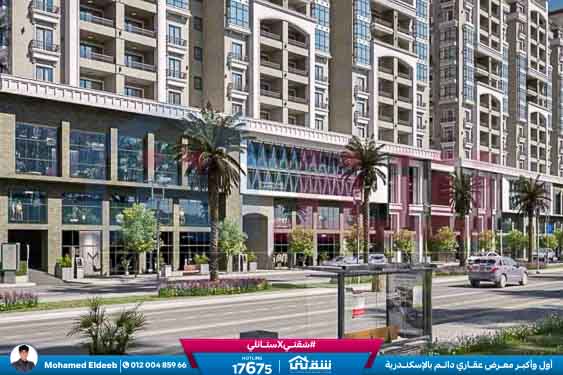 WhatsApp Image 2025-08-17 at 3.05.44 PM