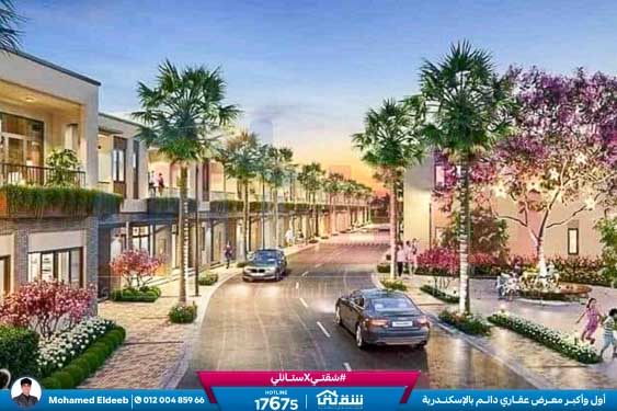 WhatsApp Image 2025-08-17 at 3.05.45 PM