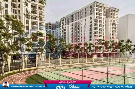 WhatsApp Image 2025-08-17 at 3.05.48 PM