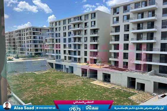 WhatsApp Image 2025-08-24 at 13.39.10_8c06e31c