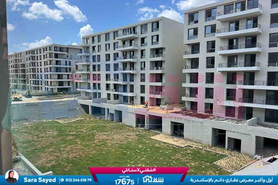 WhatsApp Image 2025-08-24 at 13.39.10_8c06e31c