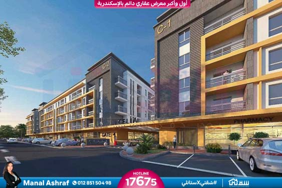 WhatsApp Image 2025-08-29 at 2.50.50 AM (2)