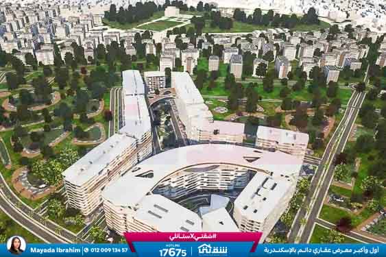 WhatsApp Image 2025-09-07 at 5.50.20 PM