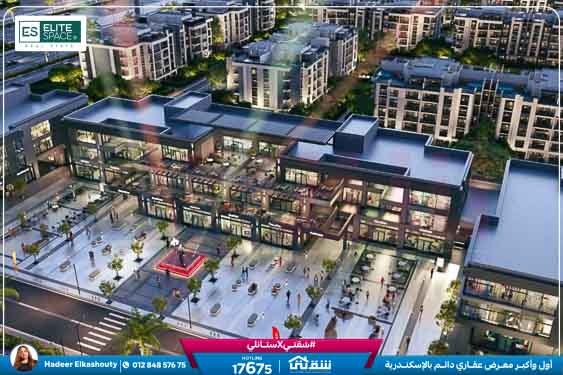 WhatsApp Image 2025-09-09 at 2.50.59 PM (1)