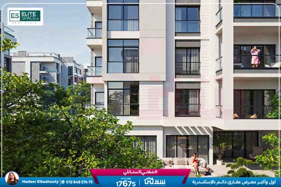 WhatsApp Image 2025-09-09 at 2.50.59 PM