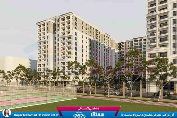 WhatsApp Image 2025-09-11 at 5.34.51 PM