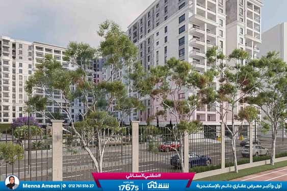 WhatsApp Image 2025-09-11 at 5.34.52 PM (2)