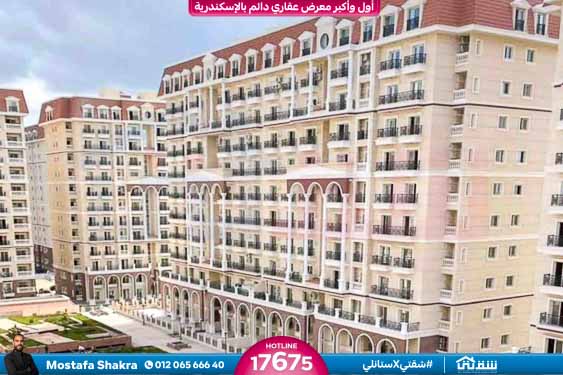 WhatsApp Image 2025-10-15 at 11.48.31 AM (1)