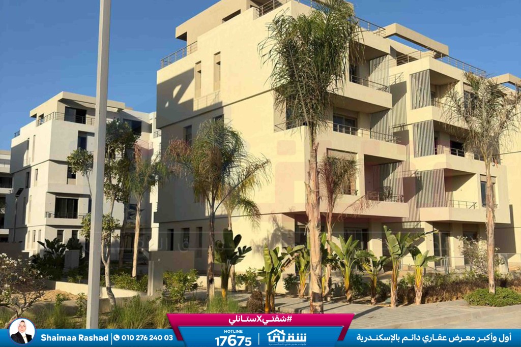 WhatsApp Image 2025-10-28 at 4.53.04 PM