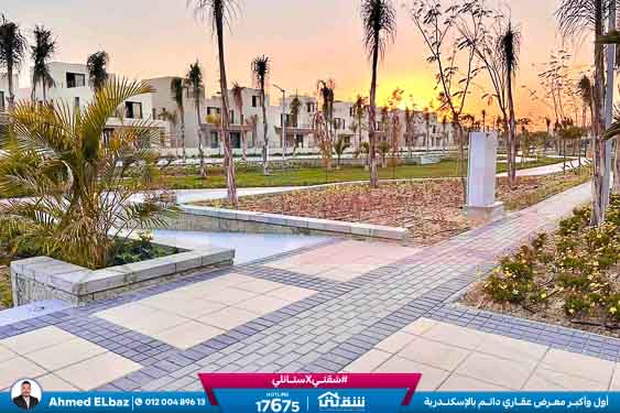 WhatsApp Image 2025-10-29 at 1.41.00 PM (3)