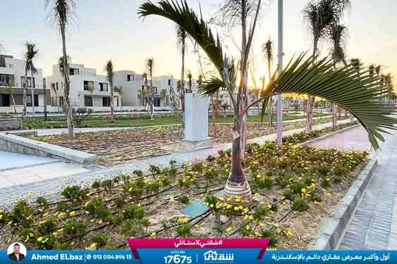 WhatsApp Image 2025-10-29 at 1.41.01 PM (3)