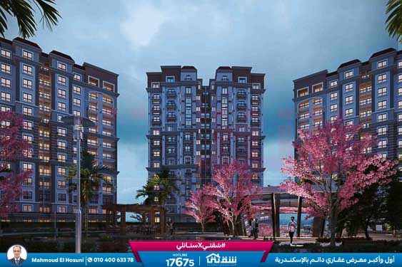 WhatsApp Image 2025-11-08 at 9.42.20 PM (1)