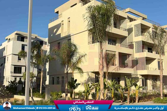 WhatsApp Image 2025-11-15 at 2.21.30 PM (2)