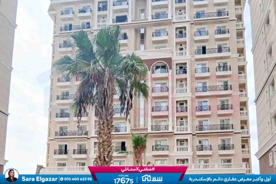 WhatsApp Image 2025-11-18 at 15.48.42 (1)