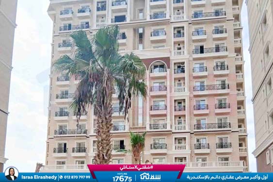 WhatsApp Image 2025-11-18 at 15.48.42 (1)