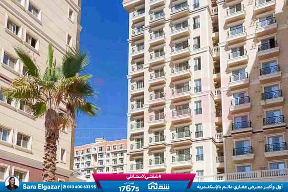 WhatsApp Image 2025-11-18 at 15.48.42 (2)