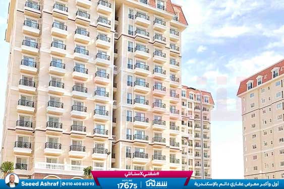 WhatsApp Image 2025-11-18 at 15.48.44