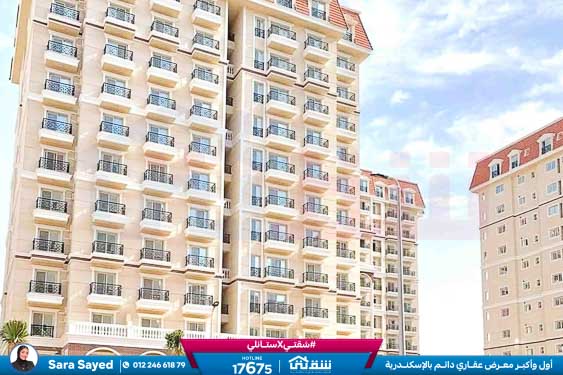 WhatsApp Image 2025-11-18 at 15.48.44