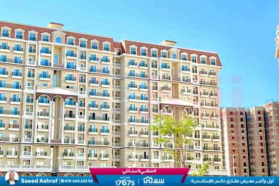 WhatsApp Image 2025-11-18 at 15.48.45