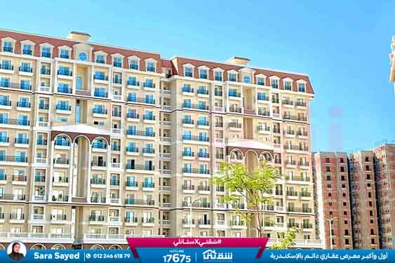 WhatsApp Image 2025-11-18 at 15.48.45