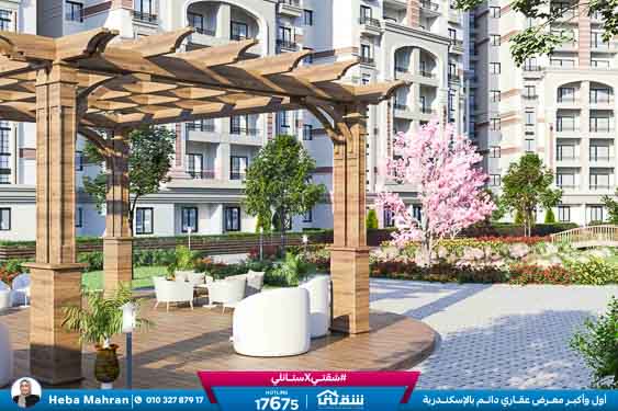 WhatsApp Image 2025-12-15 at 4.57.55 PM (1)