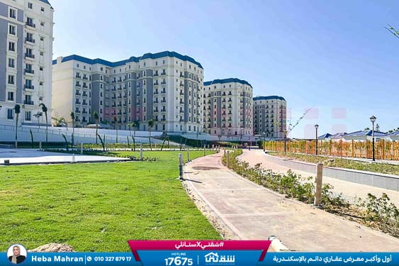 WhatsApp Image 2025-12-22 at 16.17.51