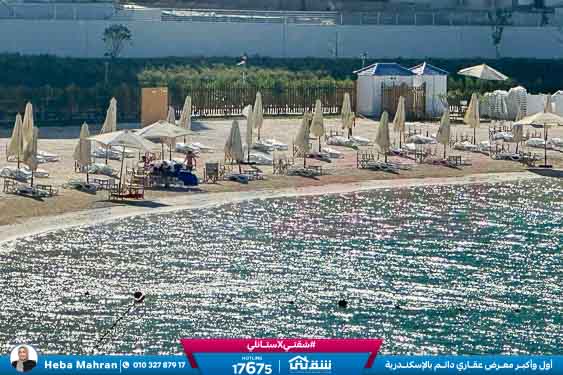 WhatsApp Image 2025-12-22 at 16.17.53