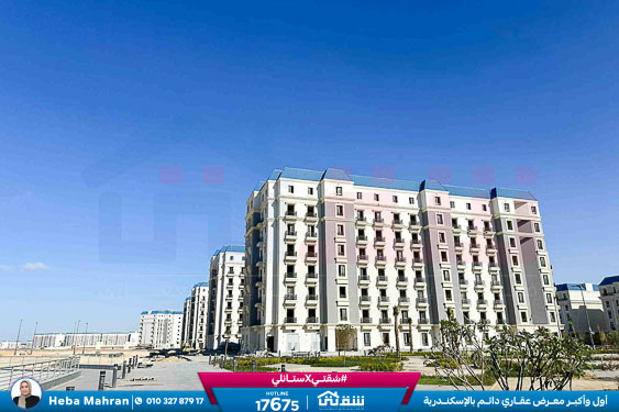 WhatsApp Image 2025-12-22 at 16.17.57 (1)