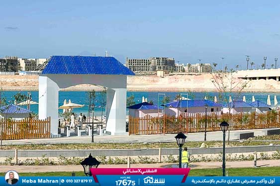 WhatsApp Image 2025-12-22 at 16.17.57