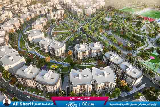 WhatsApp Image 2025-12-23 at 1.31.42 PM