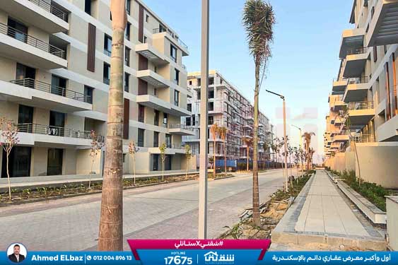 WhatsApp Image 2025-12-23 at 10.58.16 (1)