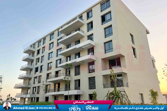 WhatsApp Image 2025-12-23 at 10.58.17 (1)