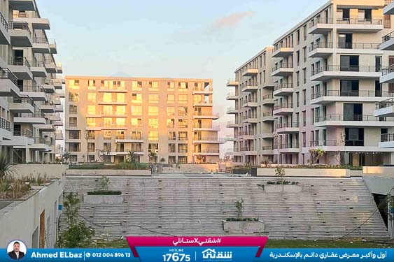 WhatsApp Image 2025-12-23 at 10.58.17 (3)