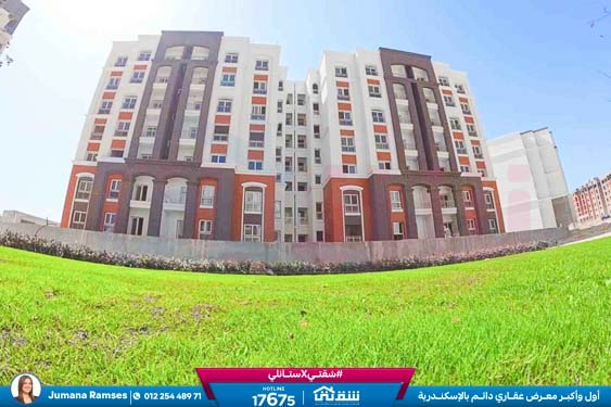 WhatsApp Image 2025-12-23 at 13.41.56