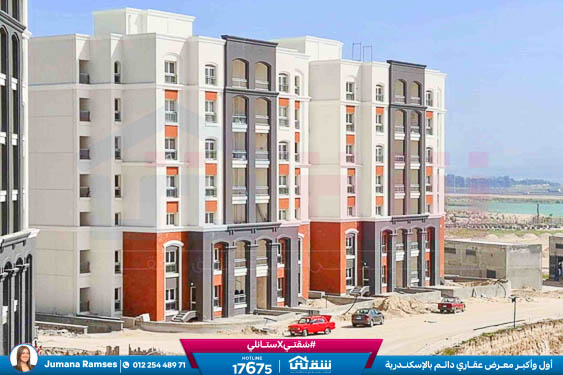 WhatsApp Image 2025-12-23 at 13.41.57